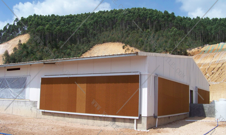 還在為廠房的墻體煩惱嗎？使用星發優質墻體廠房塑料瓦